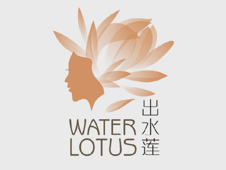 出水莲网站设计